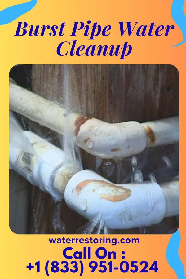 Burst Pipe Water Cleanup in Dwight, IL