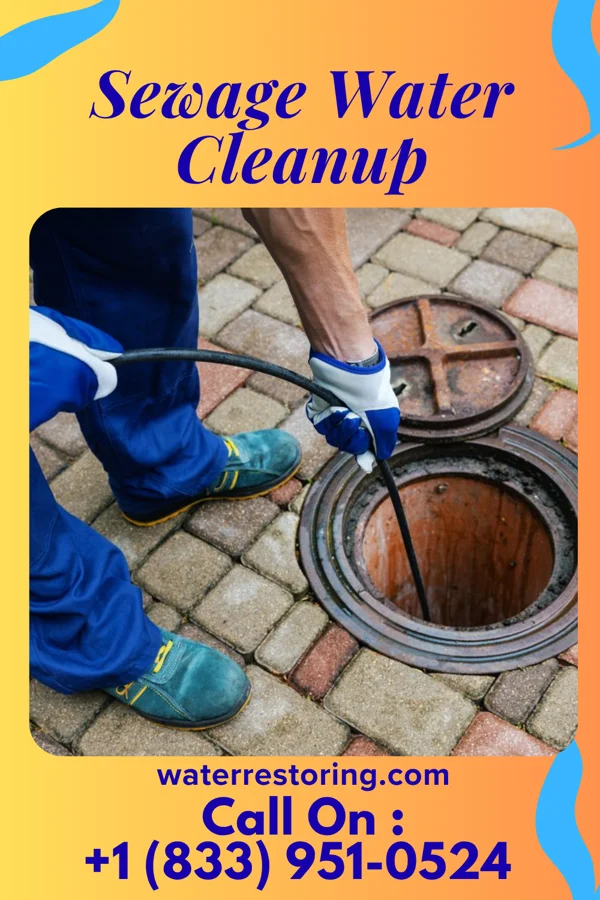 Sewage Water Cleanup in Dwight, IL